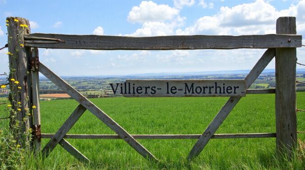 Produits bio de volailles à Villiers-le-Morhier : exploration